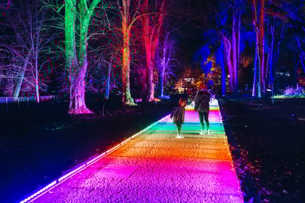 Northern Lights is set to return to Newcastle's Leazes Park for the 2024 festive period.