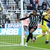 Joe Willock of Newcastle United celebrates after scoring his team’s first goal during the Premier League match between Newcastle United and Sheffield United at St. James Park on May 19, 2021 in Newcastle upon Tyne, England. 