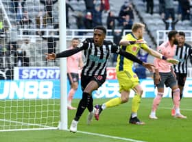 Joe Willock of Newcastle United celebrates after scoring his team’s first goal during the Premier League match between Newcastle United and Sheffield United at St. James Park on May 19, 2021 in Newcastle upon Tyne, England. 