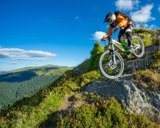 Voodoo, Vitus or Pinnacle: which is the best mountain bike for you? 