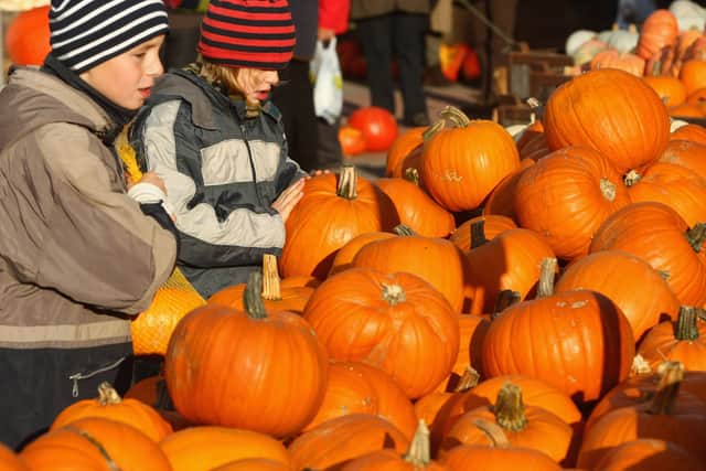 It’s never too early to plan pumpkin picking (Image: Getty Images)
