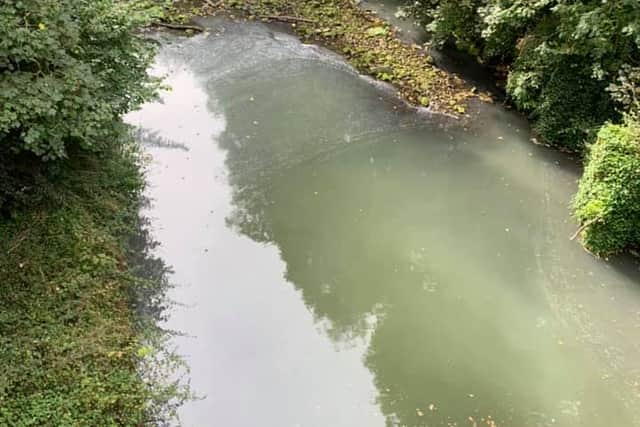 The river in Jesmond Dene (Image: Steve Smith)