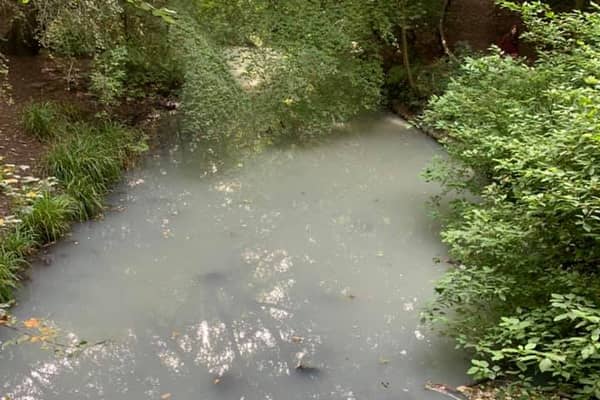 The River Ouseburn didn’t look well earlier this week (Image: Steve Smith)