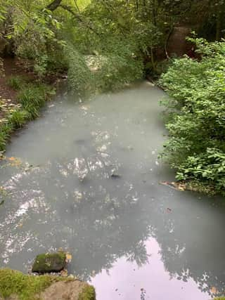 The River Ouseburn didn’t look well earlier this week (Image: Steve Smith)