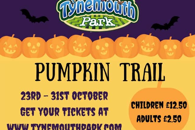 Run through a spooky maze at Tynemouth Park (Image: Facebook @tynemouthpark)