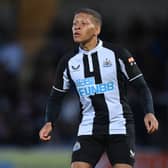 Dwight Gayle of Newcastle in action during the pre-season friendly between Burton Albion and Newcastle United at the Pirelli Stadium on July 30, 2021 in Burton-upon-Trent, England.