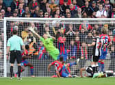 Vicente Guaita of Crystal Palace fails to save the Newcastle United first goal scored by Callum Wilson during the Premier League match between Crystal Palace and Newcastle United at Selhurst Park on October 23, 2021 in London, England.