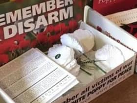 BBC presenters will be able to wear white poppies if they so wish (Pic from Peace Pledge Union) 
