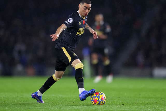 Miguel Almiron of Newcastle United during the Premier League match between Brighton & Hove Albion and Newcastle United at American Express Community Stadium on November 06, 2021 in Brighton, England. 