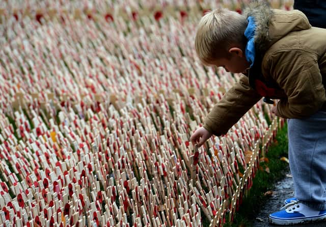 Crosses with poppies in Saltwell Park (Image: Getty Images)