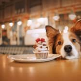 The bakery has opened in the Metro Centre.