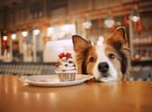 The bakery has opened in the Metro Centre.