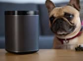 Best Sonos speakers and soundbars for sale during Black Friday 2021
