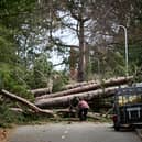 Storm Arwen battered parts of the UK last year (Image: Getty Images)