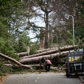 Storm Arwen battered parts of the UK (Image: Getty Images)