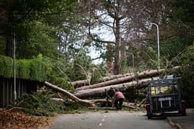 Storm Arwen battered parts of the UK last year (Image: Getty Images)