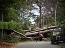 Storm Arwen battered parts of the UK last year (Image: Getty Images)