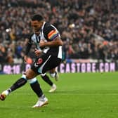 Newcastle United striker Callum Wilson. (Photo by Stu Forster/Getty Images)