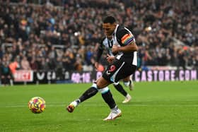 Newcastle United striker Callum Wilson. (Photo by Stu Forster/Getty Images)