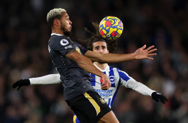 Joelinton of Newcastle United beats Marc Cucurella of Brighton & Hove Albion to the ball during the Premier League match between Brighton & Hove Albion and Newcastle United at American Express Community Stadium on November 06, 2021.