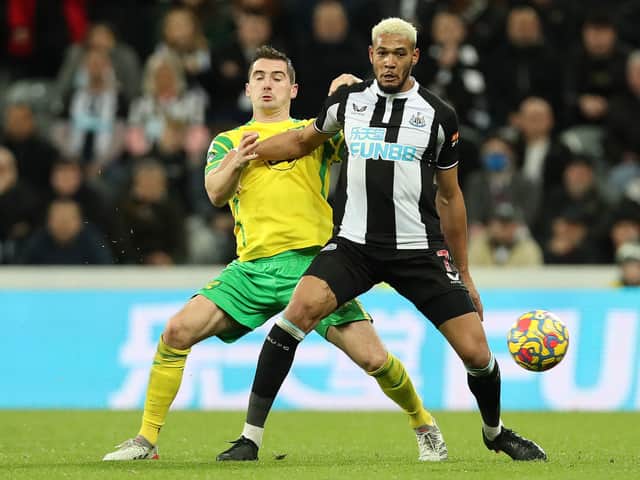 Joelinton is a player reborn at Newcastle United. (Photo by Ian MacNicol/Getty Images)