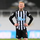 Newcastle United midfielder Matty Longstaff is currently on loan at Aberdeen. (Photo by STU FORSTER/POOL/AFP via Getty Images)