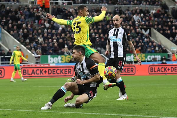 Adam Idah of Norwich City battles for possession with Federico Fernandez of Newcastle United during the Premier League match between Newcastle United and Norwich City at St. James Park on November 30, 2021.