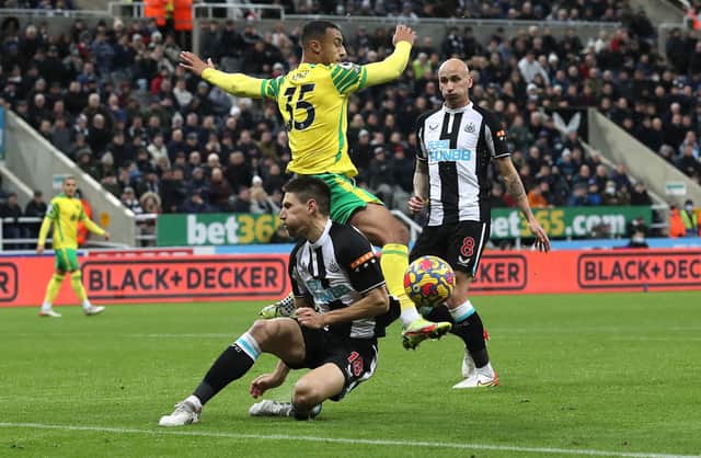 Adam Idah of Norwich City battles for possession with Federico Fernandez of Newcastle United during the Premier League match between Newcastle United and Norwich City at St. James Park on November 30, 2021.