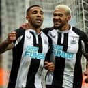 Newcastle United striker Callum Wilson. (Photo by Ian MacNicol/Getty Images)