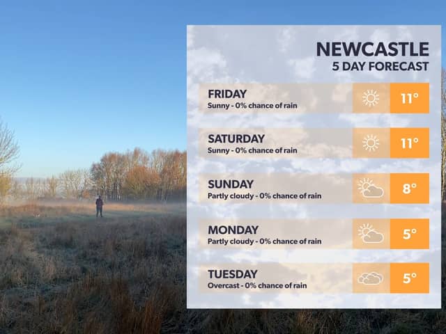 Newcastles 5 day forecast