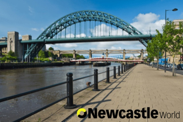 Take part in the Big NewcastleWorld Christmas Survey (Image: Shutterstock)