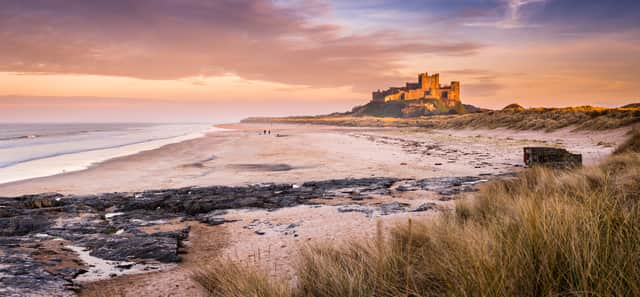 Festive walkers in Northumberland have been warned of the dangers still posed from damage by Storm  Arwen.