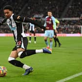 Newcastle player Jamal Lewis in action during the Premier League match between Newcastle United and Burnley at St. James Park on December 04, 2021 in Newcastle upon Tyne, England.