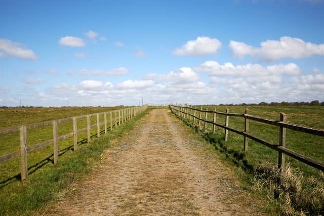 Get some fresh air on the Town Moor (Image: Shutterstock)