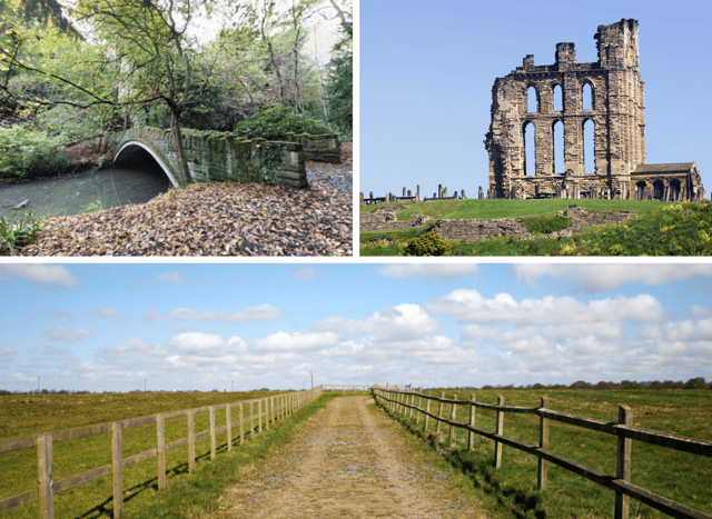 Here are the best walks in Newcastle for your Christmas Day outing (Image: Shutterstock)
