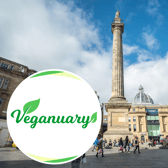 Many across the city are taking part in Veganuary this year (Image: Shutterstock)