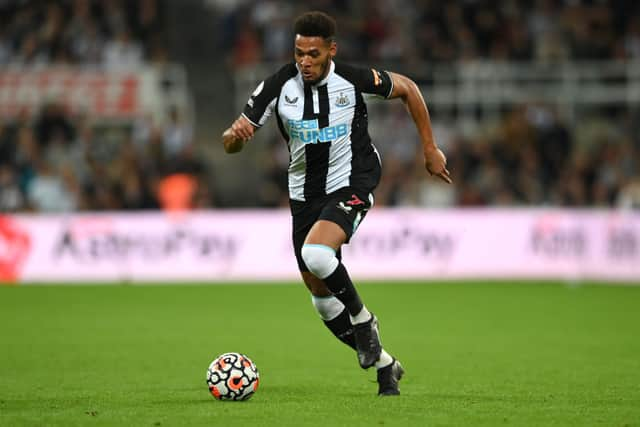 Newcastle United record signing Joelinton. (Photo by Stu Forster/Getty Images)