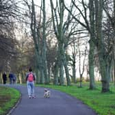 A woman walks her dog in Leazes Park (Image: Getty Images)