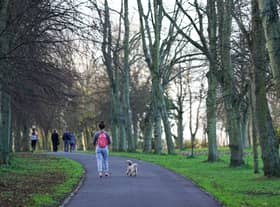 A woman walks her dog in Leazes Park (Image: Getty Images)