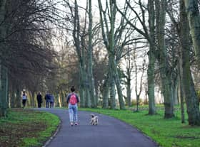 A woman walks her dog in Leazes Park (Image: Getty Images)