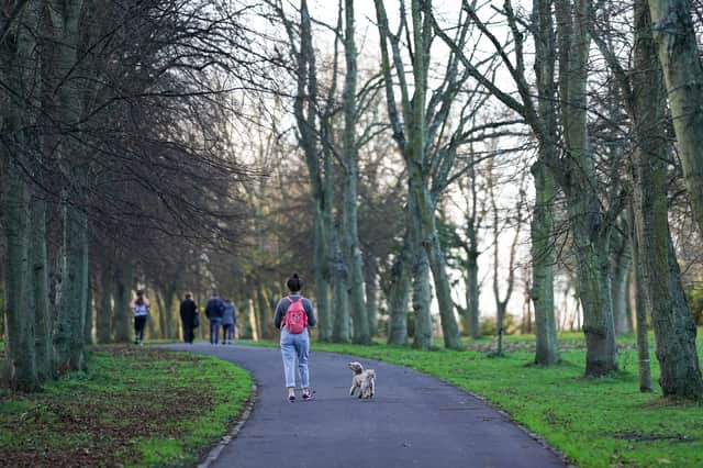 <p>A woman walks her dog in Leazes Park (Image: Getty Images)</p>