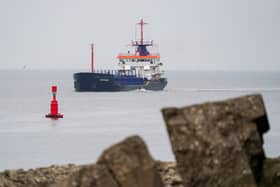 An academic thinks dredging is the cause (Image: Getty Images)