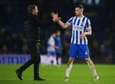 Brighton and Hove Albion defender Adam Webster. 