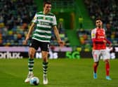 Joao Palhinha of Sporting CP in action  Credit: Getty