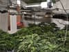 Inside the Gateshead cannabis farm raided in Northumbria Police operation