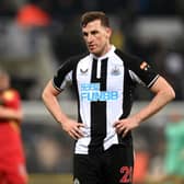 Newcastle United striker Chris Wood. 