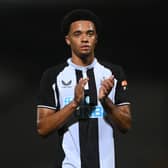 Newcastle United left-back Jamal Lewis. 