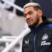Newcastle United star Joelinton. (Photo by Stu Forster/Getty Images)