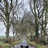 Herbert went on a trip around Northern Ireland