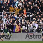 Newcastle United player ratings from Brighton win. (Photo by Stu Forster/Getty Images)